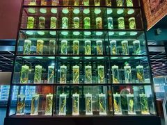 -广东中医药博物馆