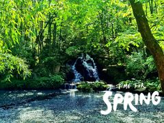 -庐山风景区花径公园