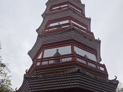 -分塔山省级森林公园