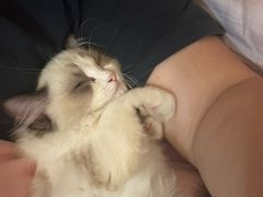 -八公叔叔宠物美容连锁(春申店)