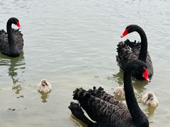 -江南大学(蠡湖校区)