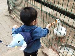 -廊坊市自然公园