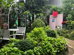 -正佳雨林生态植物园