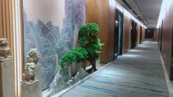 -MJ skin care国际皮肤管理中心