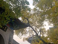 -洛阳周公庙博物馆