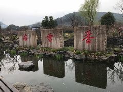 -香雪海