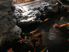 -广州白天鹅宾馆