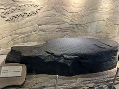 -白鹤梁水下博物馆