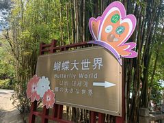 -蝴蝶泉公园