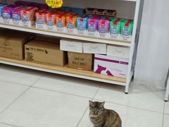 -创凡宠物医院·骨专科  猫科中心(西乡分院)