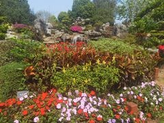 -东莞植物园