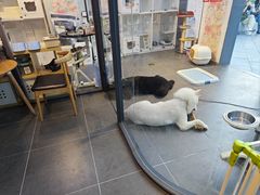 -萌兽医馆·眼科·异宠专科(三里屯店)
