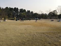 -杭州植物园