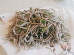 -博雅渔港·融合菜(维也纳国际大酒店)
