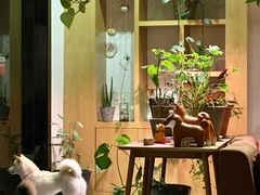 -柴务处·柴犬主题狗咖