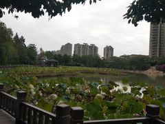 -金山公园