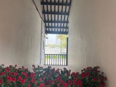 -长洲岛