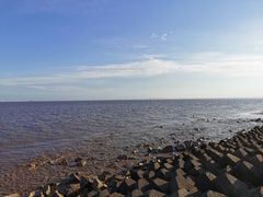 -南汇嘴观海公园