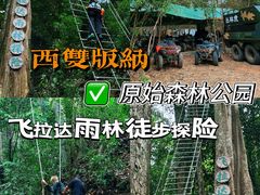 -西双版纳原始森林公园