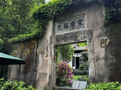 -十八棵（老龙井）御茶园(老龙井店)