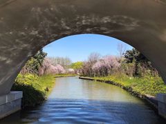 -洛阳市隋唐城遗址植物园
