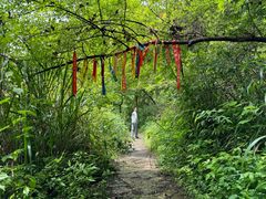 -十九峰景区-倒脱靴