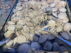 -海天盛宴潮汕蒸汽海鲜高端自助形象店