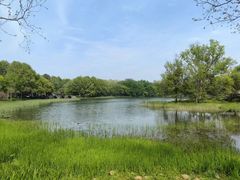 -浙江宾馆·花园餐厅·自助餐厅·茶吧