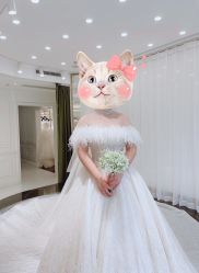 -拉瑞娜LaReine婚纱礼服高级定制