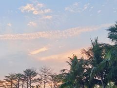 -深圳湾公园(南山区)