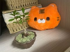 -娃娃集合营(上海闵行天街店)