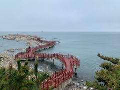 -养马岛旅游度假区