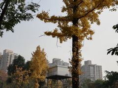 -沙河三洞古桥公园