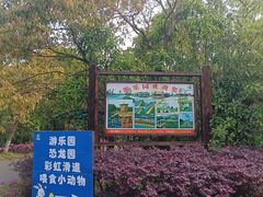 -上海海湾国家森林公园