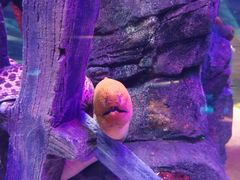 -沈阳海洋探索中心