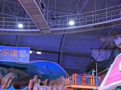 -烟台海昌鲸鲨海洋公园