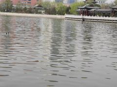 -迎泽公园