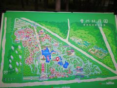 -曹州牡丹园