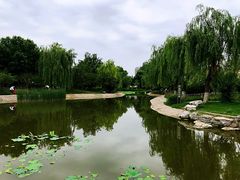 -丰台科技园生态主题公园