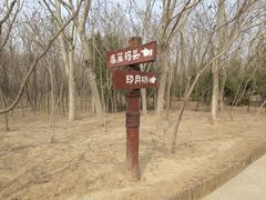 -塘沽森林公园