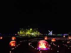 -枫林花海
