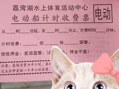 -荔湾湖公园