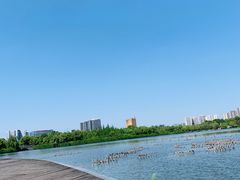 -成都南湖公园