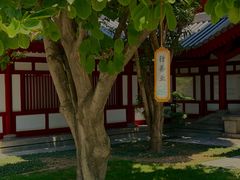 -大慈恩寺(大雁塔)