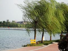 -暨阳湖生态园