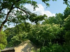 -董寨国家级自然保护区白云保护站