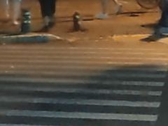 -中国建设银行(丰庄支行)