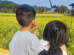 -红山村