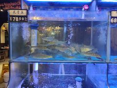 -一号渔港·宜昌肥鱼(东山店)
