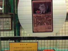 -猫咪博物馆(顶澳仔猫街店)